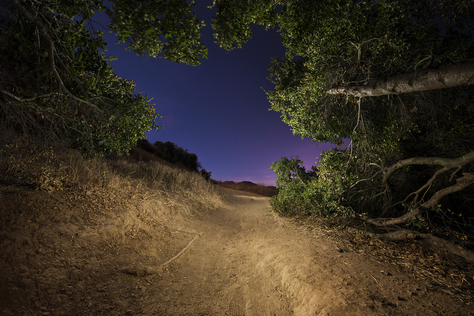 Boney Trail WEB