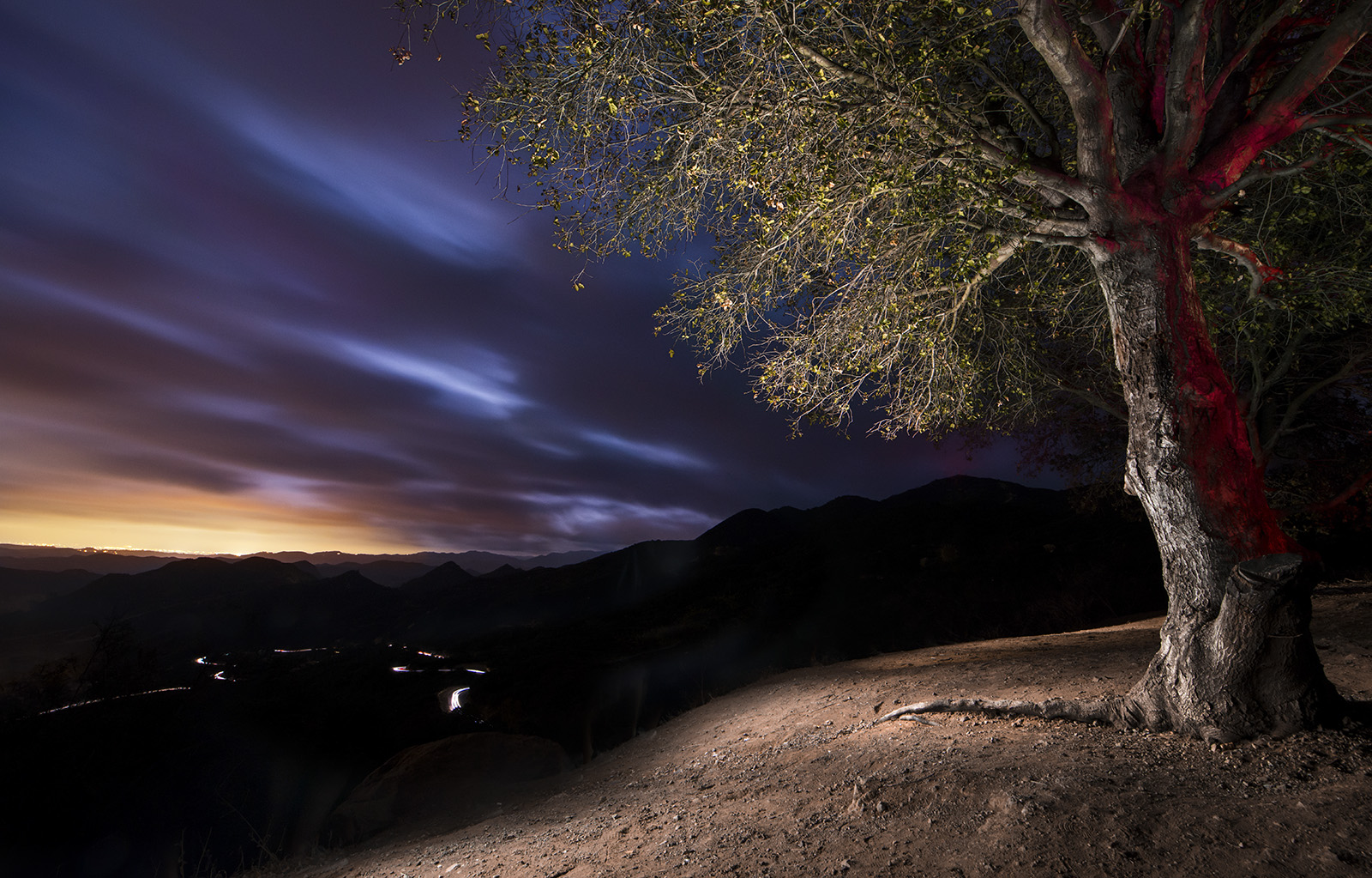 The Lookout WEB
